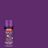 KRYLON K05536007 COLORmaxx Spray Paint and Primer for Indoor/Outdoor Use, Gloss Rich Plum, 12 Ounce (Pack of 2)