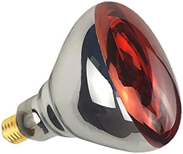 2 Pack Heat Lamp Infrared Bulbs Glass Lamp Bulb for Food Service, Brooder Bulb, Chicks, Pet, Bathroom, Light Therapy Use E26 Base, Flood Light Heat Lamp Bulb (Red, 250W)