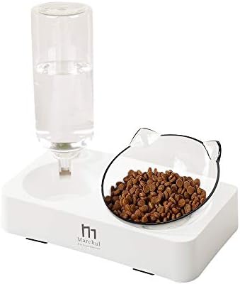 Marchul Tilted Cat Bowl Set for Food and Water, Food Feeding Raised Dishes for Puppies