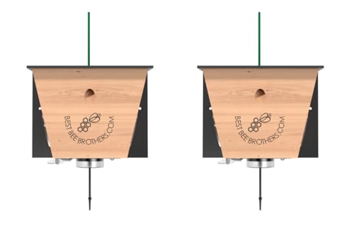 Carpenter Bee Traps for Outside - Carpenter Bee Trap, Turbo Trap 2.0 W/Bee Vault Wood Bee Traps - Carpenter Bee Traps for Outdoors Hanging - Bee Catchers for Outside (Black, 2 Pack)