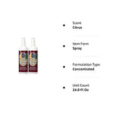 Wine Away Red Wine Stain Remover - Removes Wine Spots - Perfect Fabric Upholstery and Carpet Cleaner Spray Solution - Spray on Stain Wash and Laundry to Vanish Stain - 24 Fl Oz (Pack of 2)