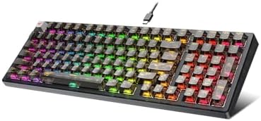 HAVIT KB875L RGB Backlit Mechanical Keyboard