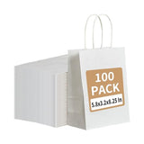 RACETOP 100 Pack Small Gift Bags 5.8x3.2x8.25 Inch White Kraft Paper Bags with Handles Bulk, Retail Shopping Bags for Birthday Party Favors, Grocery, Wedding, Craft