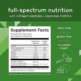 360 Nutrition Matcha Hydrolyzed Collagen Peptides Powder, Japanese Matcha Green Tea for Gut Health, Joint Support, Energy, Hair Skin & Nails, Gluten Free, Keto Friendly, Paleo, Non GMO (8oz (2 Count))