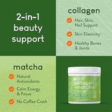 360 Nutrition Matcha Hydrolyzed Collagen Peptides Powder, Japanese Matcha Green Tea for Gut Health, Joint Support, Energy, Hair Skin & Nails, Gluten Free, Keto Friendly, Paleo, Non GMO (8oz (2 Count))