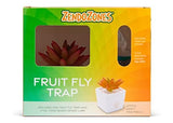 ZendoZones Fruit Fly Trap with Zendo Lure, Tranquil Tabitha with Plastic Terra Cotta Colored Base, Refillable and Reusable