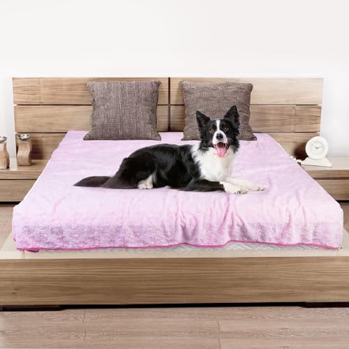 Premium Soft Dog Blankets for Large Dogs, Large Cat Blanket Calming Washable for Bed Couch Protection Cover, Dog Essentials for Large Dog, 66 * 82 inches, Pink