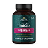 Ancient Nutrition Echinacea and Astragalus Supplement, Ancient Herbals Echinacea Capsules, 880mg Immune Support Blend, Made Without GMOs, Gluten Free, Paleo and Keto Friendly, 60 Count