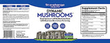 STONEHENGE HEALTH Dynamic Mushrooms - 100% Fruiting Bodies & Extracts - Lion’s Mane, Chaga, Maitake, Shiitake, Reishi - Nootropic Brain & Immune System Support - No Mycelium - 60 Veggie Capsules