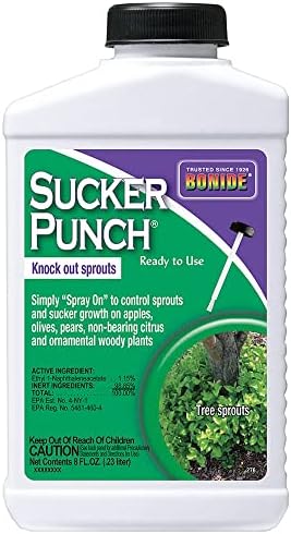 Bonide Sucker Punch, 8 oz Ready-to-Use Sprout Control Liquid with Brush Applicator, Plant Growth Regulator
