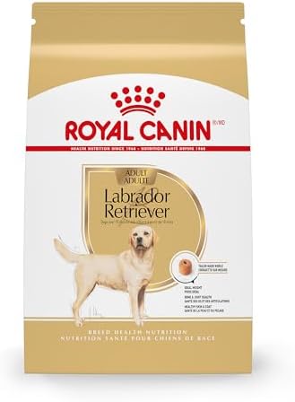 Royal Canin Labrador Retriever Adult Dry Dog Food, 30 lb bag