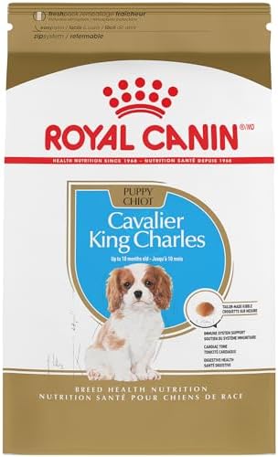 Royal Canin Cavalier King Charles Puppy Dry Dog Food, 3 lb bag