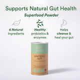 Your Super Gut Feeling Superfood Powder - Instant Celery Drink Powder, Prebiotics for Gut Health - Contains Digestive Enzymes, Dietary Fiber - Plant Based, Vegan, Gluten Free- 30 Servings