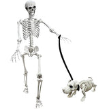 Lodou 5.4Ft Posable Life Size Human Adult Skeletons Plastic Human Bones with Movable Joints for Halloween Decoration