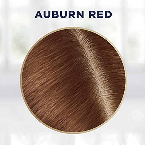 Clairol Root Touch-Up Semi-Permanent Hair Color Blending Gel, 5R Auburn Red, Pack of 2