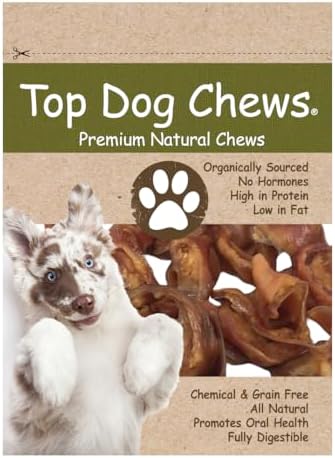 Top Dog Chews – Pig Ear Strips for Dogs, American Made, Single Ingredient, Thick, Large Dog Treat for Small, Medium or Large Dog Breeds, Bulk Dog Chews (1LB)