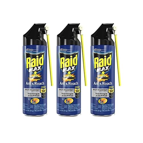 Raid Max Ant & Roach Aerosol Spray 14.50 oz (Pack of 3)
