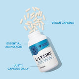 Vimergy L-Lysine – Promotes Healthy Skin, Hair, Nails & Joints* – Supports Healthy Metabolism* – Vegan, Non-GMO & Gluten-Free – 270 Capsules