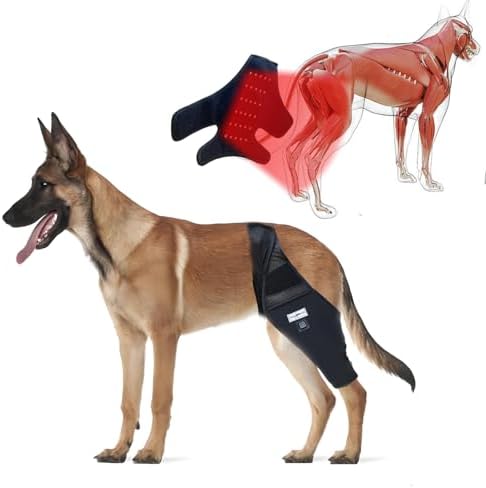Dog Acl Brace Hind Leg — Red Light Therapy for Dogs Professional Edition Dog Knee Brace for Torn Acl Hind Leg Accelerated Wound Healing Suitable for Small Dogs（Black）— S