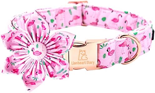Lionheart glory Valentine Dog Collar with Flower Dog Collar for Large Dogs, Pink Dog Collar with Bowtie Spring Dog Collar Pet Collar Bows