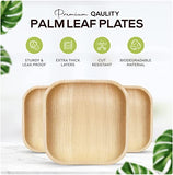 KoalaLove Palm Leaf Plates Bamboo Plates Disposable Square 8 inch 100 Bulk Party Pack Elegant Sturdy Design Better Than Paper and Plastic Plates (KoalaLove-PLP-8IN-100-Plates)