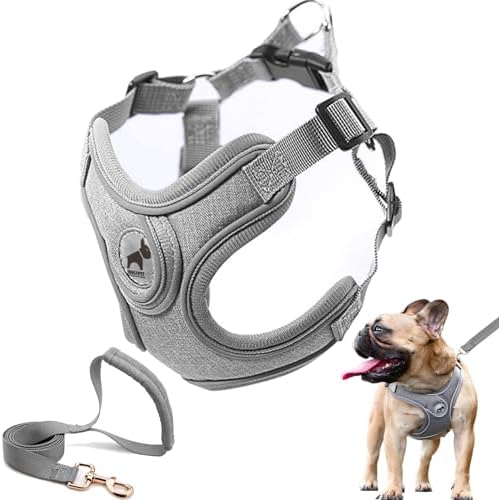 Dog Harness with Leash Set, No Pull Puppy Harnesses with Breathable Padded for Small Dogs Training and Running(XS, Gray)