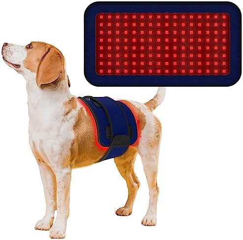 Red Infrared Light Therapy Belt for Pets Pain Relief, Portable Wearable Cold Laser Therapy Device for Dogs Tissue Repair, Joint & Back Pain