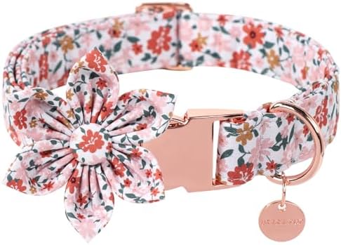 Dog Collar with Flower, UP URARA PUP Cute Flower Dog Bowtie Collar, Detachable Flower Bow Puppy Collar with Metal Buckle for Dogs,M
