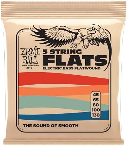Ernie Ball 5-String Flatwound Bass Guitar Strings, 45-130 Gauge (P02810)
