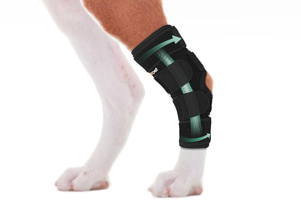 Lyderpet Dog Leg Brace for Rear Hock & Ankle, Canine Hind Leg Joint Compression Wrap for Torn ACL & CCL, Back Leg Injury and Sprain Protection, Helps with Elderly Dogs Activies and Arthritis (L)