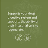 Standard Process - Canine Enteric Support - Digestive System Support for Dogs - 110 Grams
