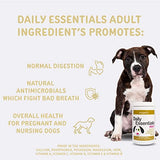 Adult Dog Multivitamin & Immune System Supporter – Canine Vitamins for Dog Energy, Chewable Dog Nutritional Supplement, Small/Large Dog Vitamins – Daily All-in-One Dog Vitamin & Immune System Booster