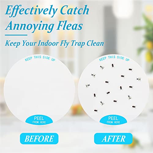 48 Pcs Fly Trap Refill Glue Boards for Mosquito Zapper 3.4" Indoor Insect Trap Refills Glue Pads Flea Trap Replacement Sticky Pads for Mosquitoes Lamp Compatible with 3.4" Katchy Duo Mosquito Killer