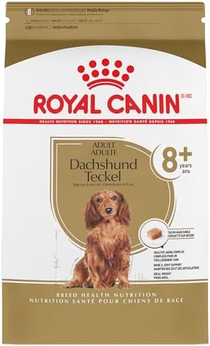 Royal Canin Breed Health Nutrition Dachshund Teckel 8+ Adult Dry Dog Food, 3 lb bag