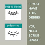 We Love Eyes - Eyelid Margin Scrub Brush - Ideal for scrubbing away debris and eyelid margin cleansing.