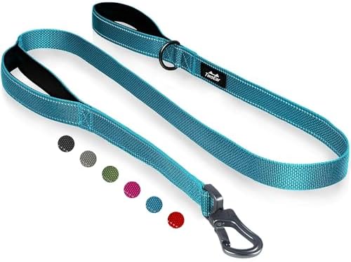 TwoEar 4FT 1IN Strong Blue Dog Leash with 2 Padded Handles, Traffic Handle Extra Control, Comfortable Soft Dual Handle, Auto Lock Hook, Reflective Walking Lead for Small Medium and Large Dogs