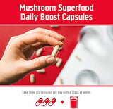 Om Mushroom Superfood Immune Defense Mushroom Capsules Superfood Supplement, 90 Count, 30 Days, Mushroom Blend, Reishi, Turkey Tail, Maitake, Agaricus Blazei, Vitamin C, Vegan