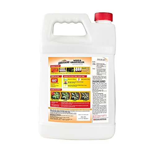 Spectracide Weed And Grass Killer Concentrate 1 Gallon, Use On Patios, Walkways And Driveways