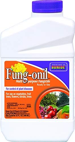 Bonide Fung-Onil Multi-Purpose Fungicide Concentrate