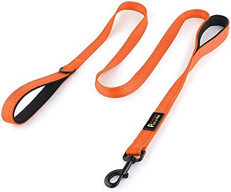 Plutus Pet Dog Leash 6ft Long,Traffic Padded Two Handle,Heavy Duty,Reflective Double Handles Lead for Control Safety Training,Leashes for Large Dogs or Medium Dogs,Dual Handles Leads(Orange)