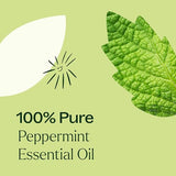 Plant Therapy Peppermint Essential Oil 30 mL (1 oz) 100% Pure, Undiluted, Natural Aromatherapy for Diffuser & Topical Use, Relaxation, Digestion, Respiratory, & Massage, Peppermint Oil for Skin & Hair