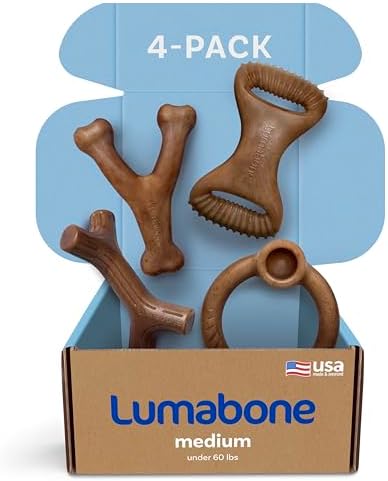 Real Bacon Medium 4-Pack Durable Dog Chew Toys for Aggressive Chewers, Made in USA – Wishbone, Ring Stuffer, Dental Chew, Stick