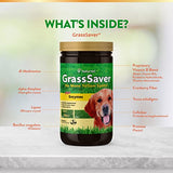 NaturVet – GrassSaver Wafers for Dogs Plus Enzymes – 300 Wafers – Healthy Supplement to Help Rid Your Lawn of Yellow Spots – Synergistic Combination of B-Complex Vitamins & Amino Acids