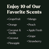 Fragrance Oil Set - Premium Grade 10 Pcs Scented Oils for Candle Making, Soap Scents, Aroma Beads, Bath Bombs, Perfume & Flavoring Oil for Lip Gloss - Essential Oils with Fruity Scents (10ml)