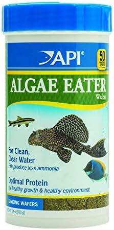 API ALGAE EATER WAFERS Algae Wafer Fish Food 6.4-Ounce Container