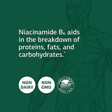 Standard Process Niacinamide B6 - Whole Food Energy, Metabolism and Nervous System Supplements with Soy Protein, Vitamin B6, Ascorbic Acid, Calcium Lactate, and Niacinamide - 90 Capsules