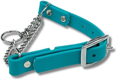 Martingale Collar for Dogs, Biothane, Stainless Steel Hardware, No Pull, Made in The USA, Professional Grade, Medium, Teal