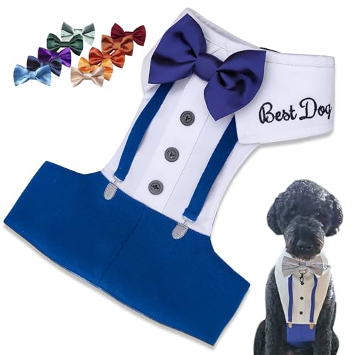 Personalized Best Dog Harness with Bow Tie, Suspenders & Custom Embroidered Text | Wedding Dog Tuxedo | Optional Ring Bearer Clasp | Perfect Attire for Wedding & Birthday by ACORD EU (Royal Blue)