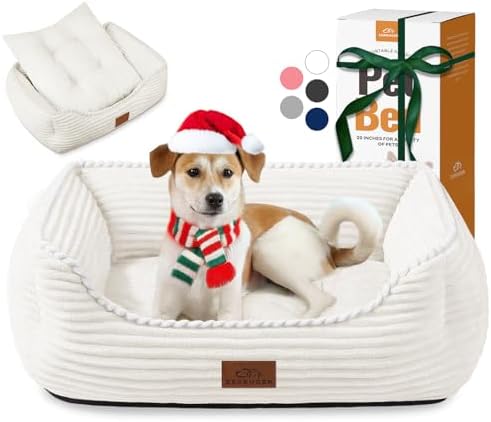 Rectangle Orthopedic Dog Bed for Large Dogs,Dog Sofa Beds Supportive Foam Pet Couch Bed with Removable Washable Mat and Nonskid Bottom (Large, Cream)