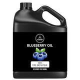 Naturevibe Botanicals Blueberry Oil 32 Ounces 100% Pure & Natural Cold Pressed Carrier Oil | Moisturiser for Skin, Nails & Hair | Cleansing Oil Great For Hydration (946 ml)